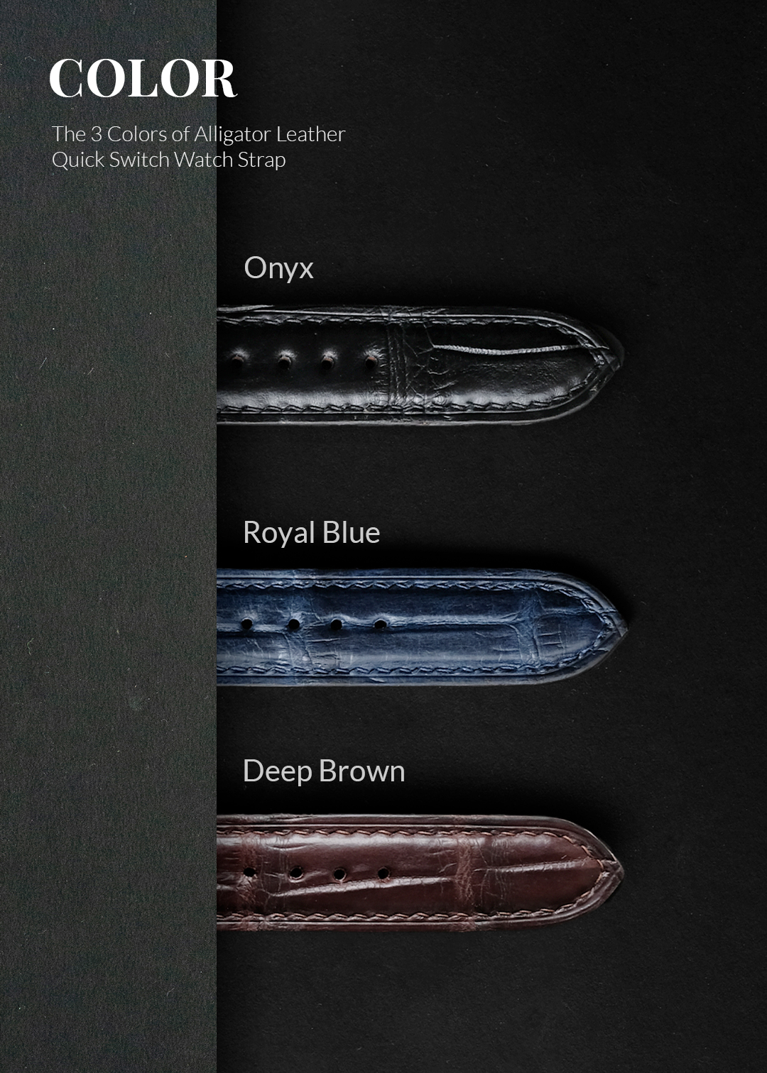 Alligator Leather - Image 1