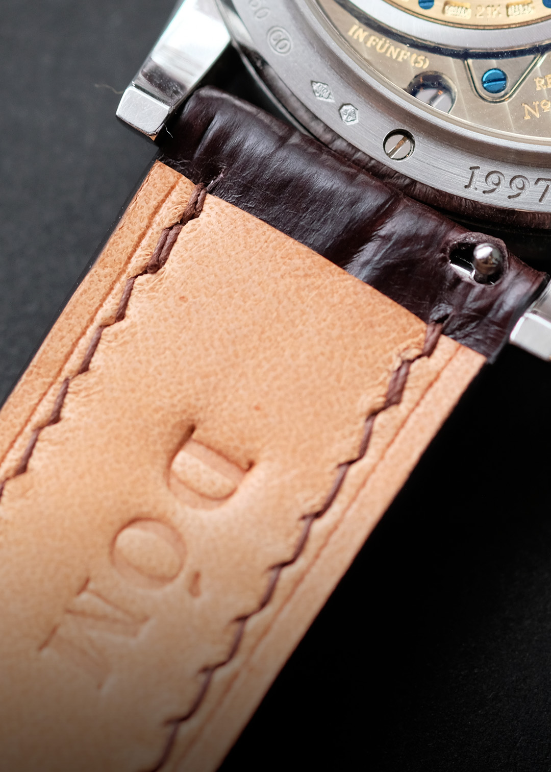 Alligator Leather - Image 2