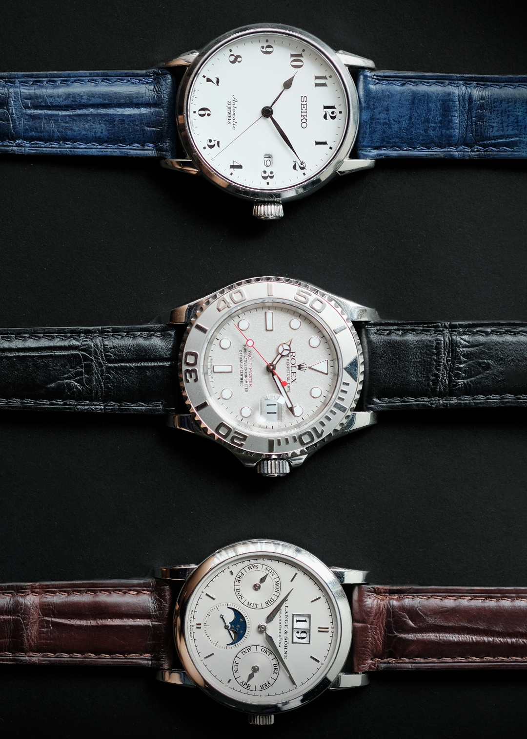 Alligator Leather - Image 6