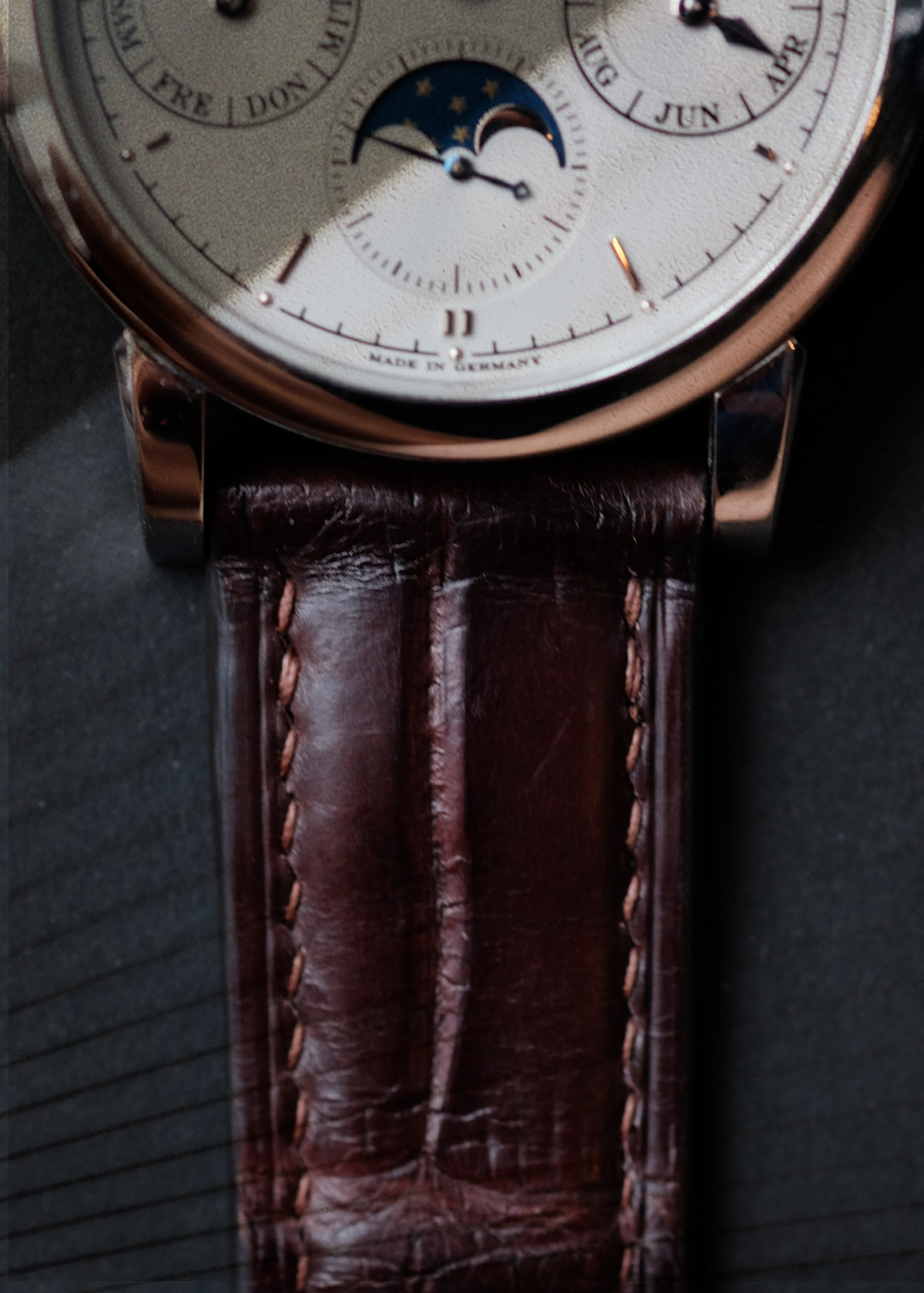 Alligator Leather - Image 7